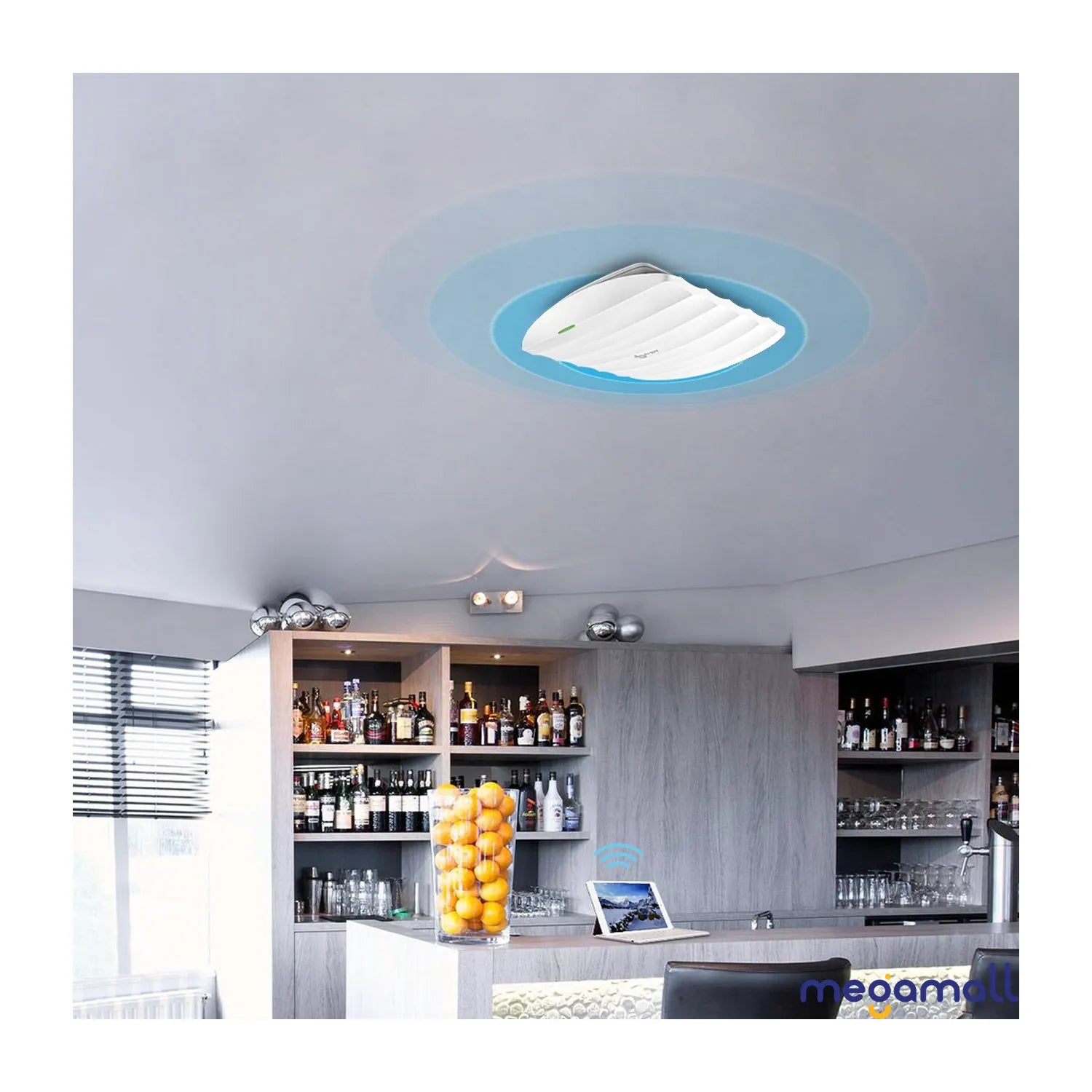 EAP115 - 300Mbps Wireless N Ceiling Mount Access Point