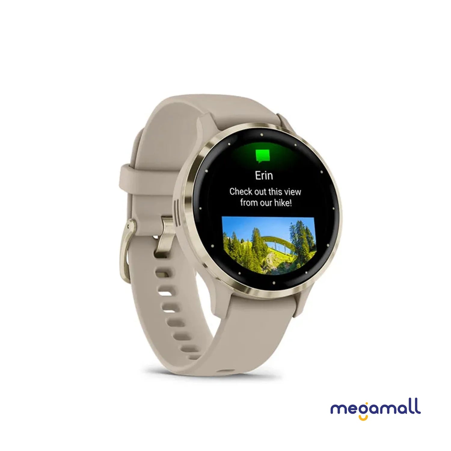 010-02785-52 - Venu 3S - 41mm (French Gray)