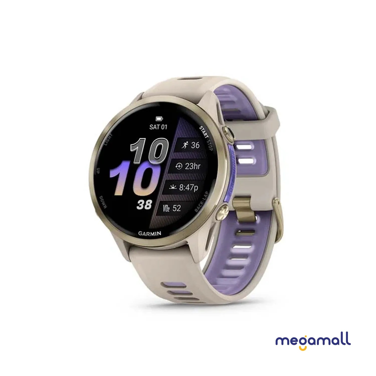 010-02969-62 - Forerunner 970 (French Gray)