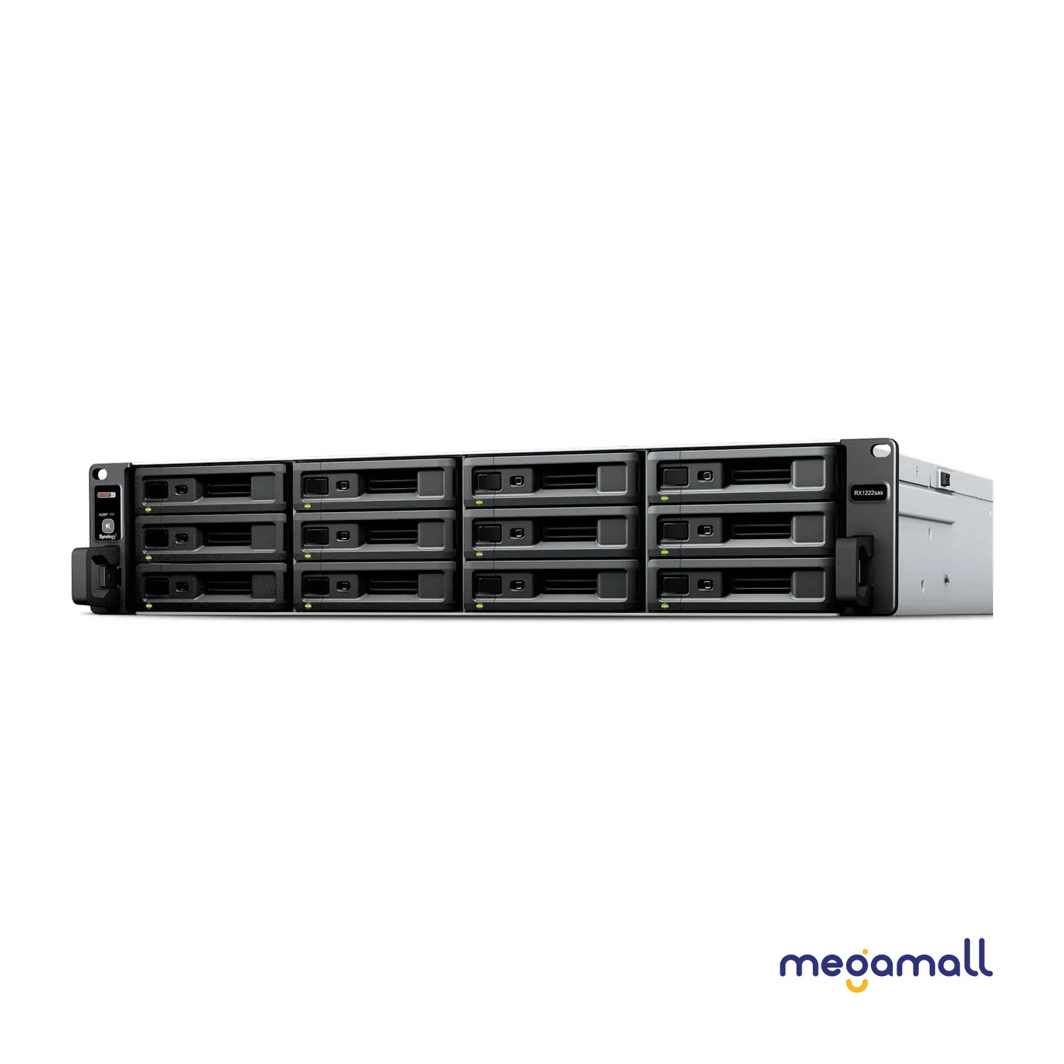 Expansion Unit RX1222sas